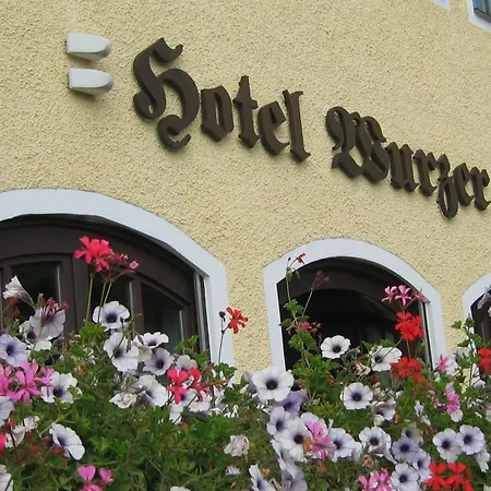 Отель Wurzer 3*